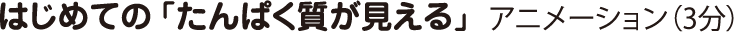 はじめての「たんぱく質が見える」 アニメーション（3分）